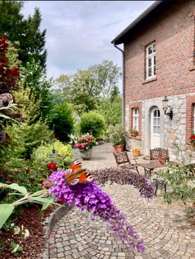 Haus Bergstrasse Apartment Stolberg  Exterior photo